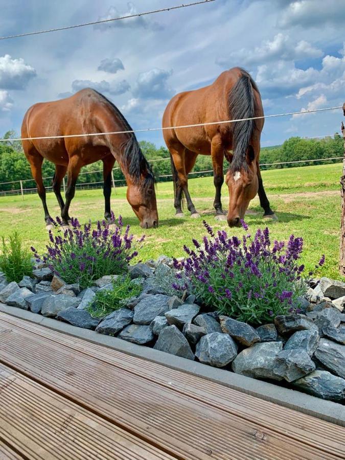 Dum Splnenych Prani Villa Praslavice Eksteriør billede