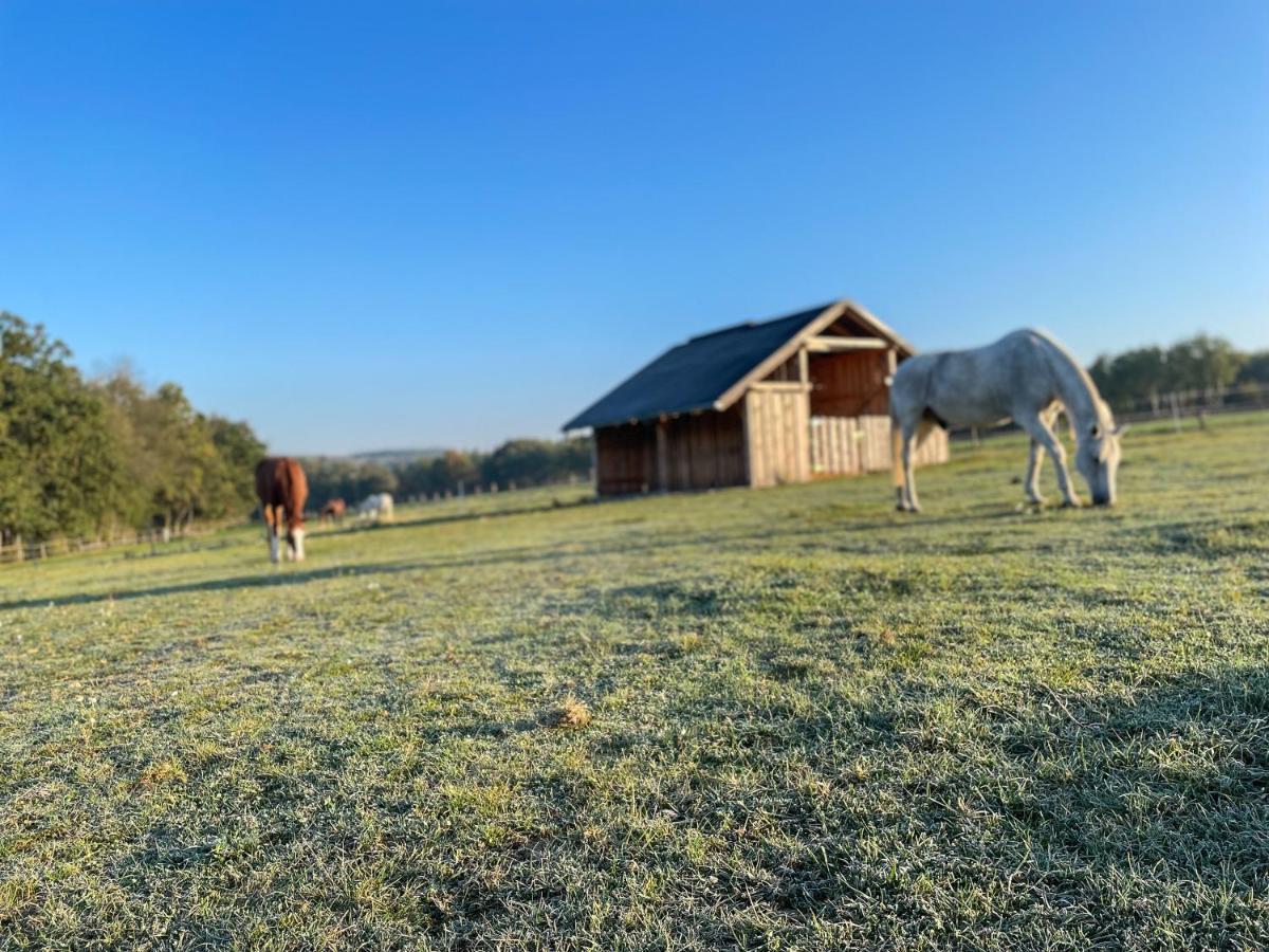 Dum Splnenych Prani Villa Praslavice Eksteriør billede